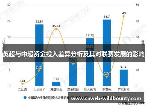 英超与中超资金投入差异分析及其对联赛发展的影响