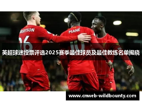 英超球迷投票评选2025赛季最佳球员及最佳教练名单揭晓