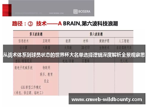 从战术体系到球员状态的世界杯大名单选择逻辑深度解析全景观察思