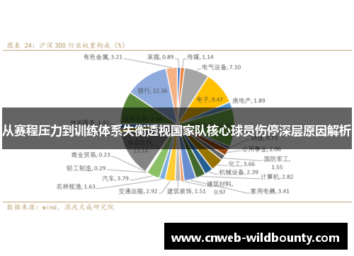 从赛程压力到训练体系失衡透视国家队核心球员伤停深层原因解析